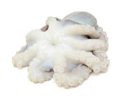 أخطبوط مجمد