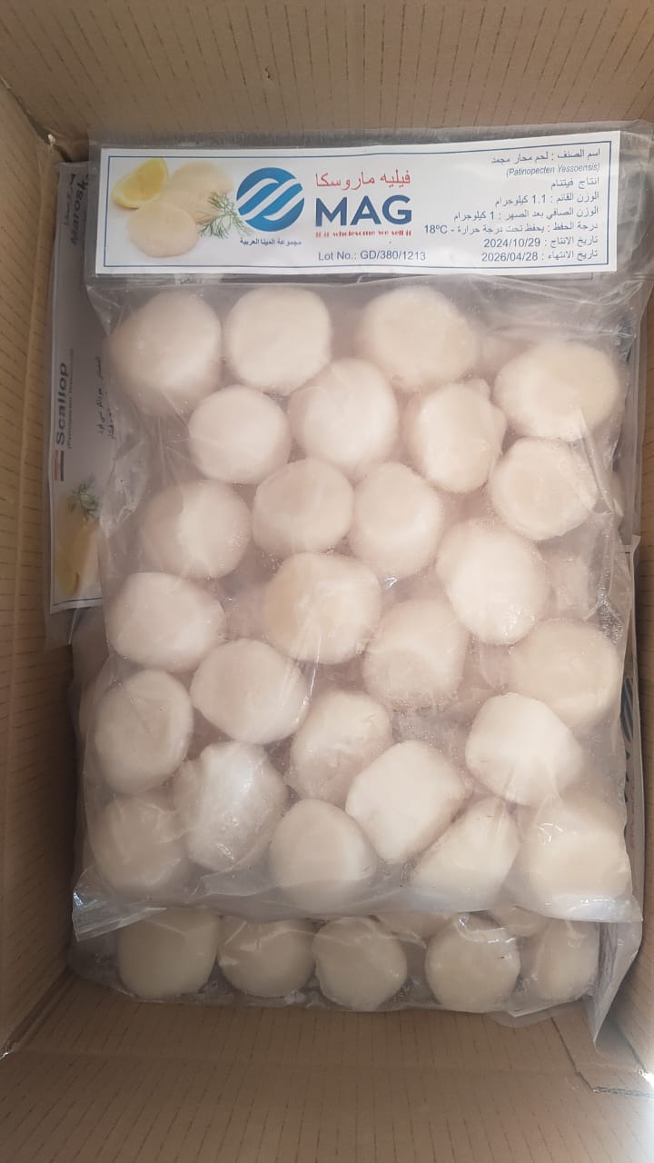 اسكالوب مجمد